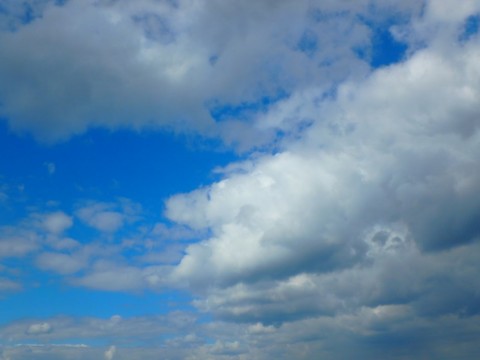 xwk74uy3egh3brid7uc2_480_480-832050ac.jpg