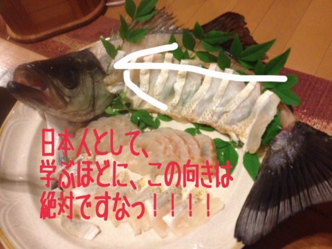 xwu3td563s97pv9vn2ic_920_690-15331a32.jpg