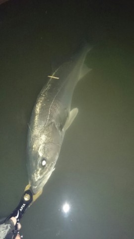 xwxxbupogdido79og5cr_518_920-a270f266.jpg