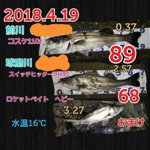 xwy6mbttfg2gwo2ccjvz_480_480-6a329d6b.jpg