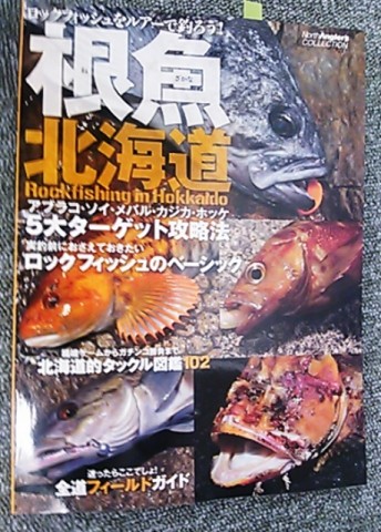 xx9j7c6imy5z3ev46o4z_480_480-b5e7a8e4.jpg