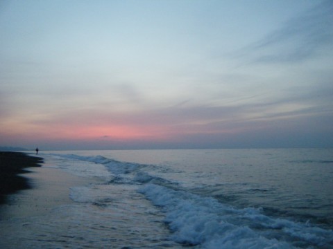 xxfmxwatpujygp5xty5t_480_480-859b1062.jpg