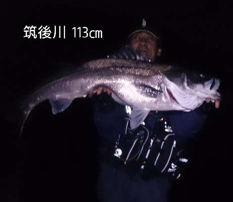 xxgyk9xnpi8f55cck27e-ab754794.jpg