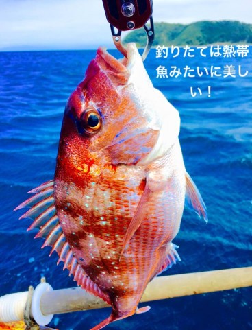 xy4rvebbhu8fu88ycdxi_480_480-ac0c1928.jpg