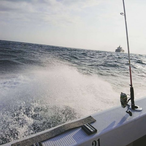 xy57bj7zn235wegwhuri_480_480-abfca99e.jpg