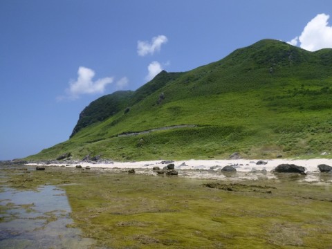 xybx4paed5tohozz3aua_480_480-691c6226.jpg