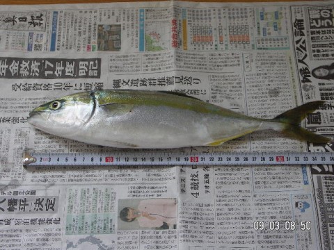 xykxike42rogh8gnarm3_480_480-0b2e5855.jpg
