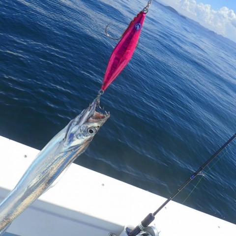 xyngr5h4aw5sc567cahj_480_480-170e18b9.jpg