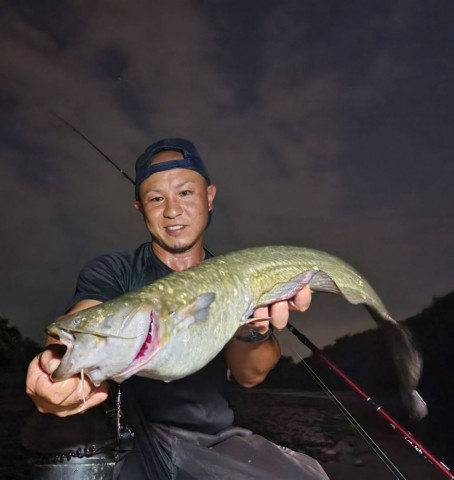 xyu28dm6fr2oxbzgsd37_480_480-d94af27e.jpg