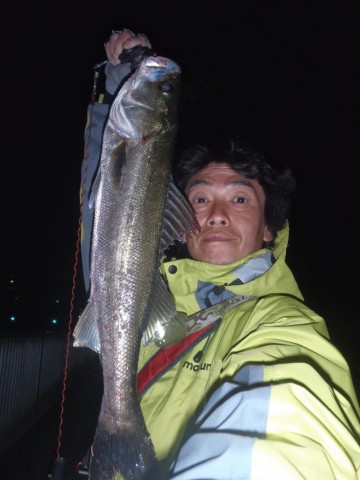 xywfycy87pmx546w7he9_480_480-1387459f.jpg