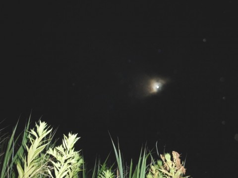 xz45m3vwziu28i72ngzz_480_480-3bc0c47b.jpg