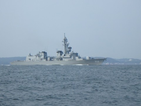 xz9vu6b5ivvy84rku4sf_480_480-38cc167e.jpg