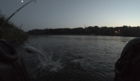 xzj3hwreck3psmxyjjxe_480_277-8243624d.jpg
