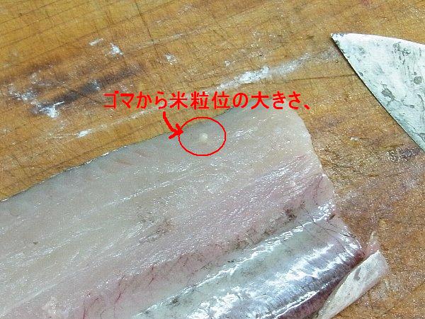 Tight Line 太刀魚を捌きましょう