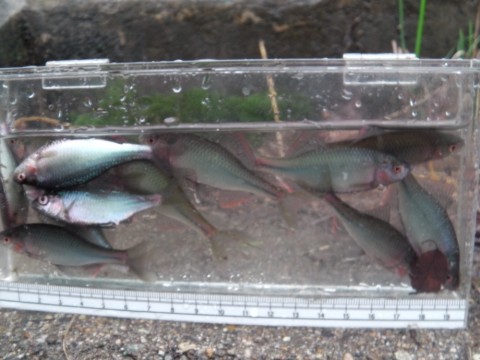 xzsbyapwkjuw9oa5af59_920_690-ceae0506.jpg