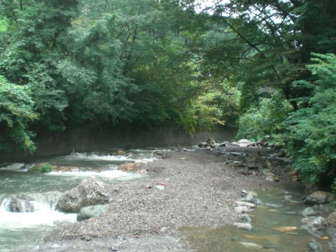 y2eepc5dm7y6u9bgmvbw_480_480-10146a32.jpg