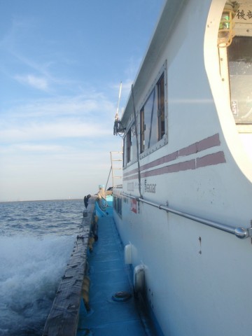 y2izzok7movsdueicn5a_480_480-5461cce7.jpg