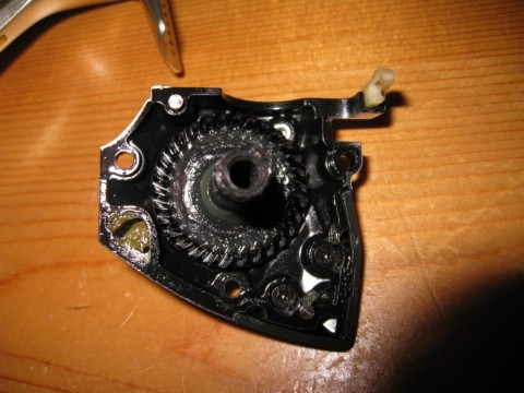 y34t73bjx6u2btnxdsxa_480_480-ba35ba65.jpg