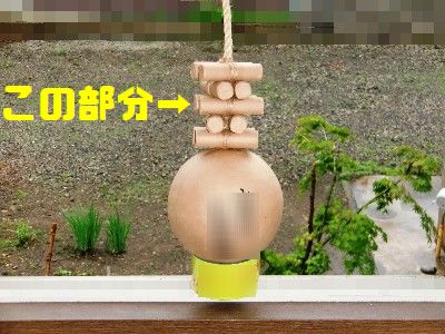 y3izui2am42f5j5993jx-9b711544.jpg