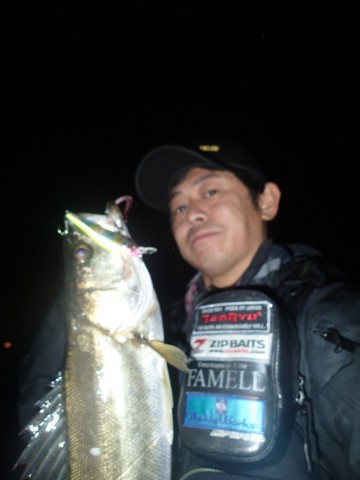 y3u7y5ji6dt6iej3cocy_480_480-6fad60e4.jpg