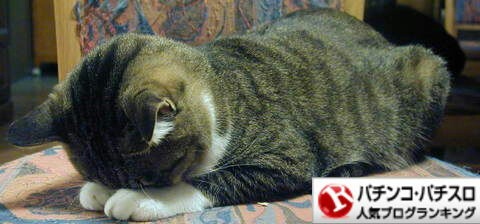 y44uxw7nfs2xgcyz8ch8_480_224-0efdf047.jpg