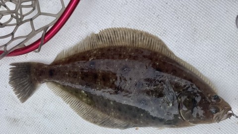 y45kehhvumu7gpphvatk_480_270-602a6cb0.jpg