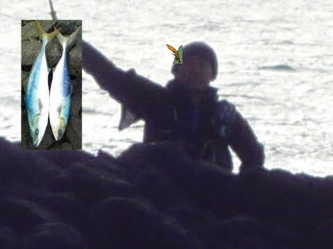 y45nuvo6v3gvh6zntfmf_480_480-aaf33747.jpg