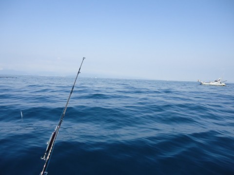 y4buixsos6tbnw8r6jos_480_480-77cdba85.jpg