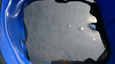 y4jtbyfggdwv23oxxo6n_480_480-fe19e0f1.jpg