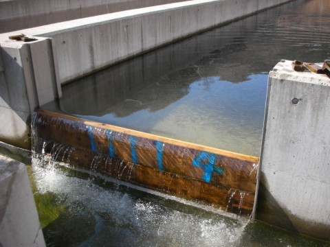 y4ohizodaw2p78b2kbm3_480_480-0d5031c3.jpg