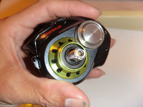 y4tczy6sbac8gyfoztoe_480_480-60258e73.jpg