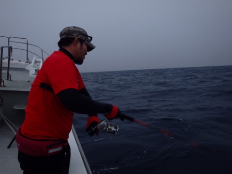 y4w2asrwr8xgimo39irm_480_480-3ca299b2.jpg