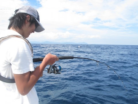 y54Wk3eX9tEYcxdThdXJ_480_480-ccaca25d.jpg