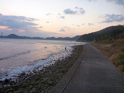 y56gt7kmz4wd2fvvd7mt-3300e8d4.jpg