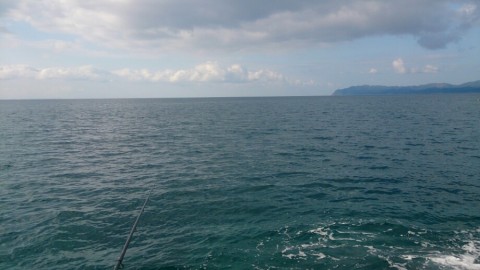 y56kh749h4hu6tanunon_920_517-0b21620a.jpg