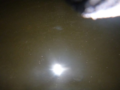 y5ds4c2sswc2a2cb8yr9_920_690-5611c957.jpg