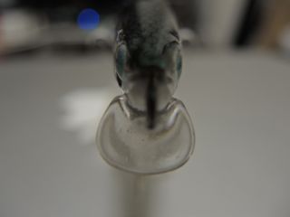 y5gdwgxw3zzca483grnu-930336e8.jpg
