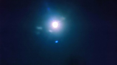 y5rvh92keio2db4kvwvj_480_480-d6206c37.jpg