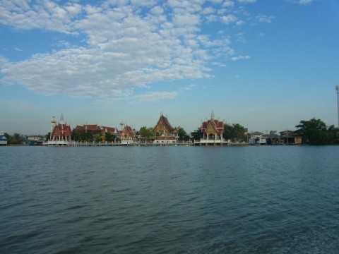 y65cadczfbnk26vfz8j7_480_480-529e9be3.jpg