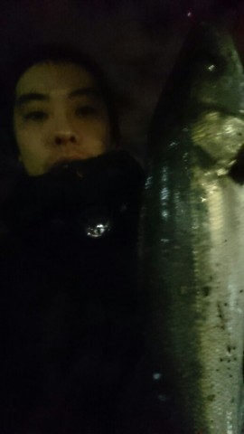 y6b5eiokrawxvb6wcxus_518_920-748f7e75.jpg