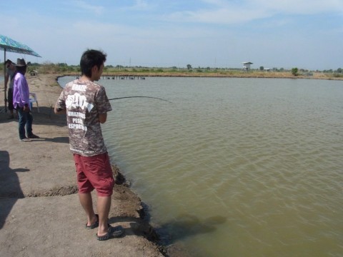y6cf6sderx5wky9poyap_480_480-452b8fe0.jpg