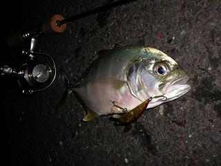 y6mhyrsxcx2xam2bi8sg-3089d8f3.jpg