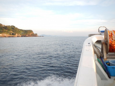 y6v4isuh8dx2gaffwa9w_480_480-76b49265.jpg