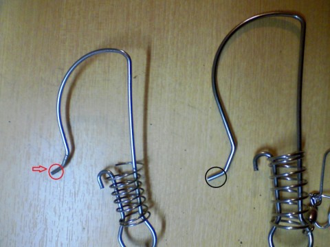 y6xsm8iev29z87dhyn36_480_480-333461ab.jpg