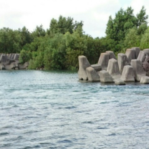 y74jx93xujwn5mhd5owr_920_920-b4afbaac.jpg