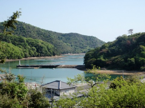 y7f22cm9frgwdu23a3h6_480_480-5d9e8f48.jpg