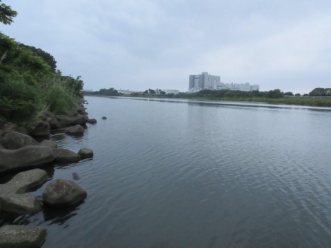 y7ncer8uf78cr5wtazx2_480_480-8625ac16.jpg