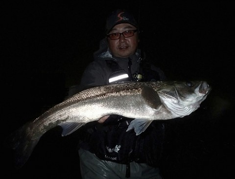 y7tz7rawg2uui566ch8p_480_480-2558cad7.jpg