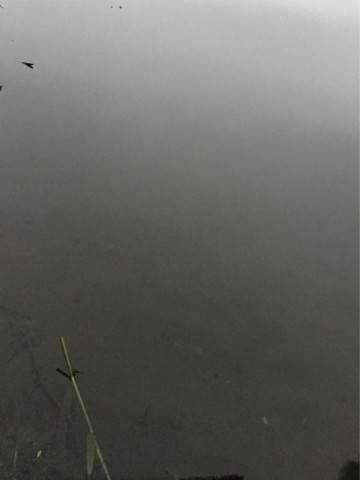 y7v7su77cpychsynvxg8_690_920-103e89f2.jpg