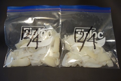 y7vjnxg97khgzhpgoaa9_480_480-882192d6.jpg